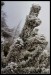 002 mráz_0189