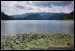 001 Bledské jezero s ostrůvkem_1800